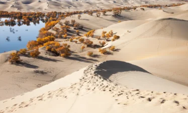 Private guide exploring Aksu and Korla desert landscapes