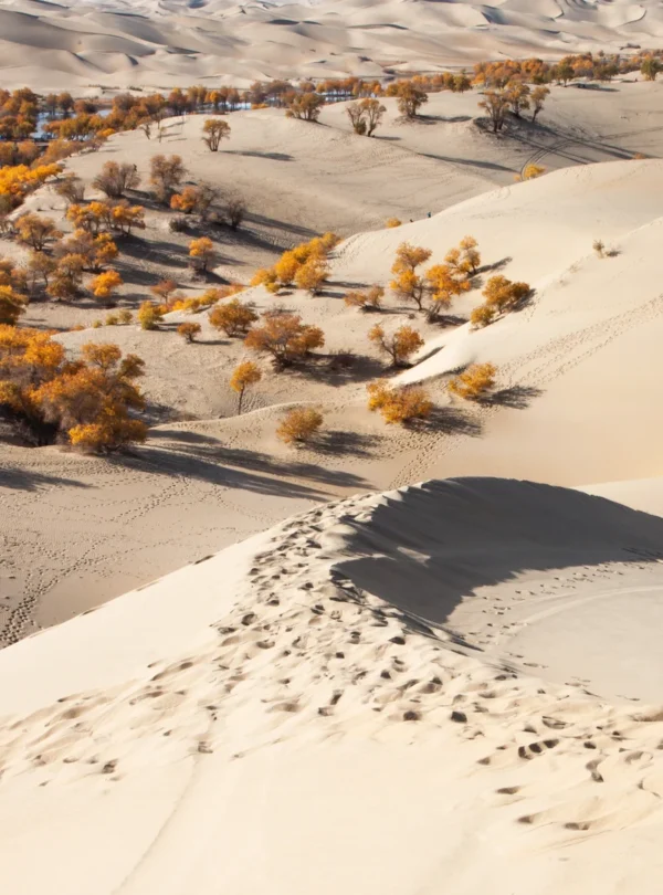 Private guide exploring Aksu and Korla desert landscapes