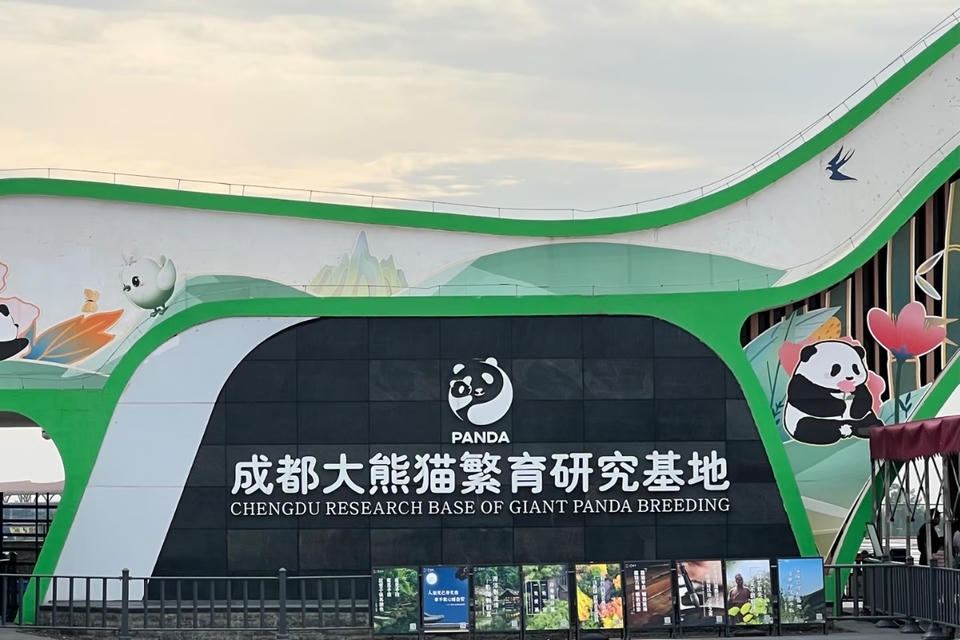 Private guide at Chengdu Panda Breeding and Research Center