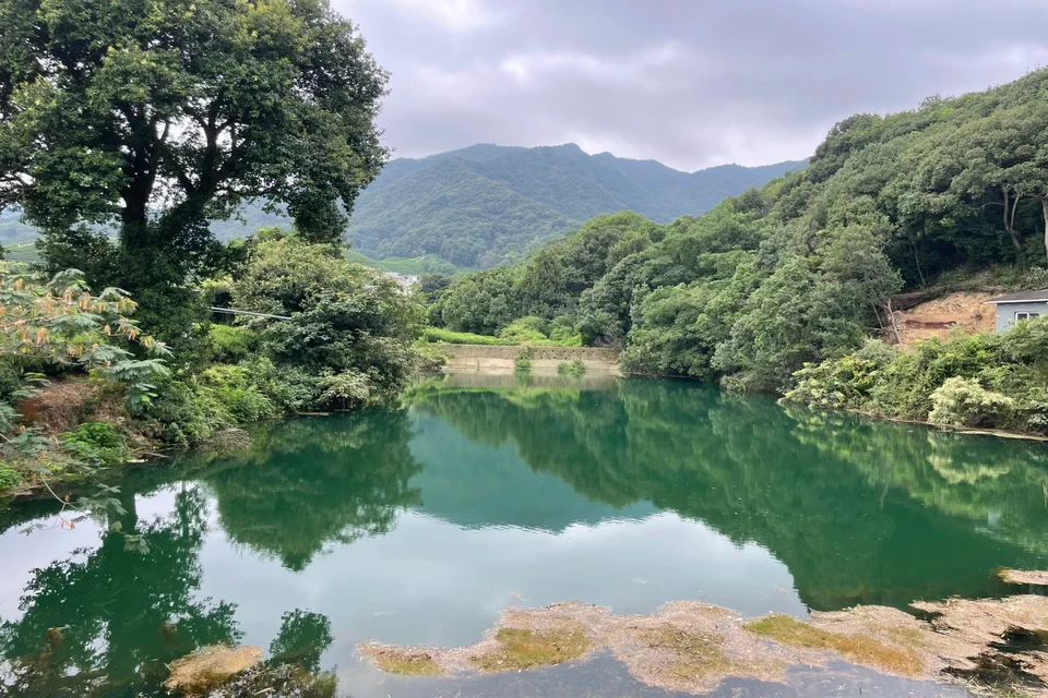 Private guide exploring Guangming Reservoir scenic landscape