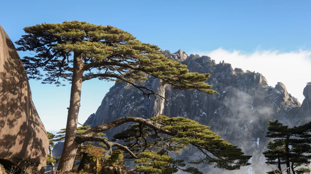 Private guide at Huangshan