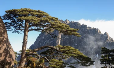 Private guide at Huangshan