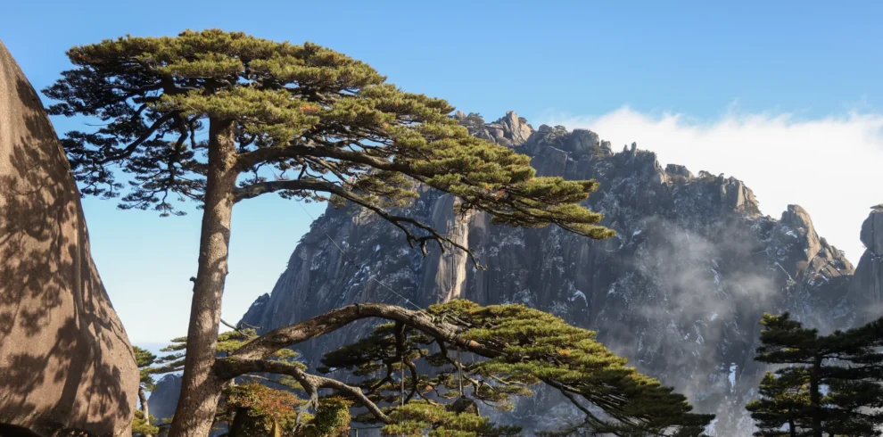 Private guide at Huangshan