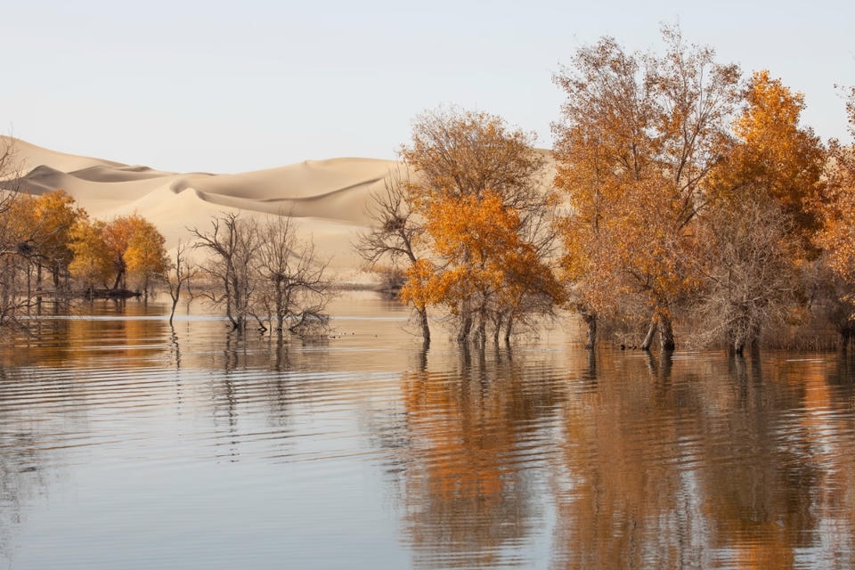 Private guide at Korla, Xinjiang