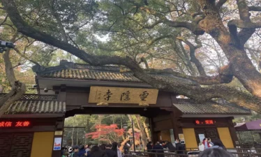 Private guide at Lingyin Temple Buddhist site