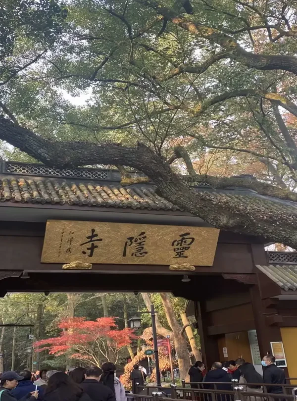 Private guide at Lingyin Temple Buddhist site