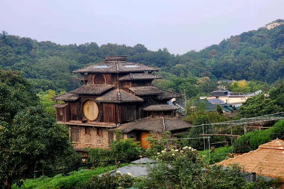Private guide exploring Manjuelong osmanthus hills in Hangzhou