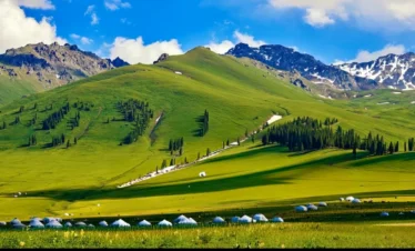 Private guide exploring Nalati Grassland scenic views