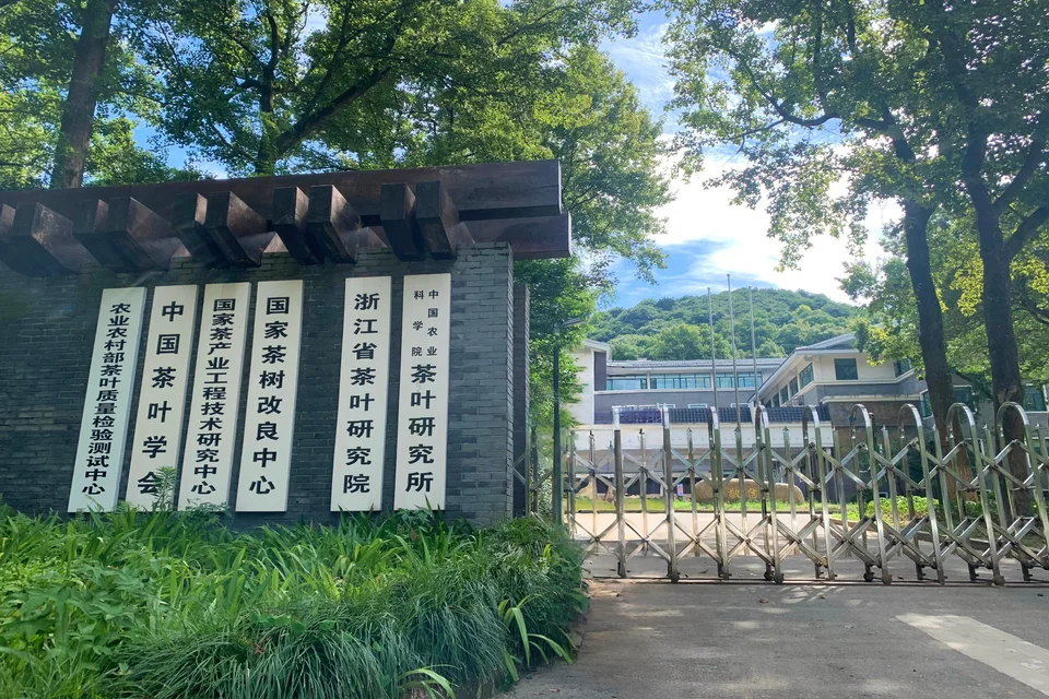 Private guide learning at National Tea Research Institute in Hangzhou