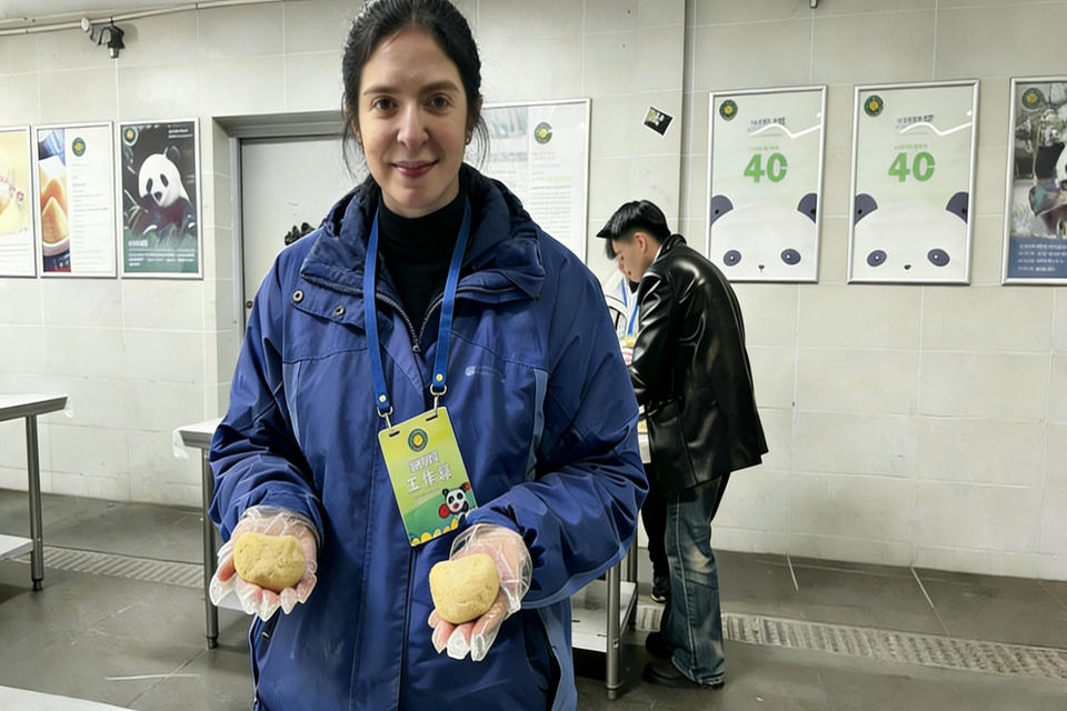 Private guide at chengdu Panda cakes