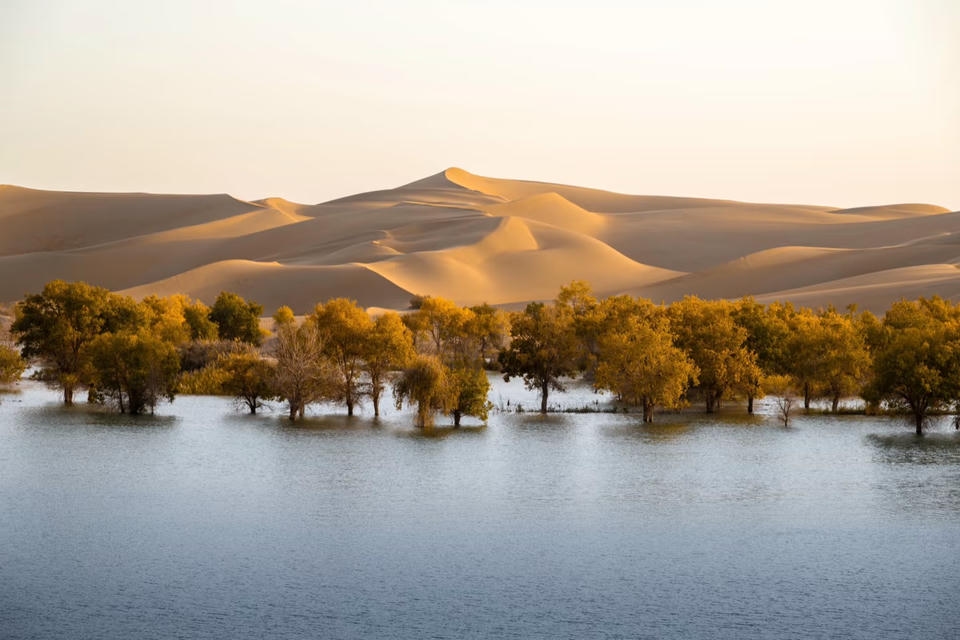 Private guide at Tarim Basin