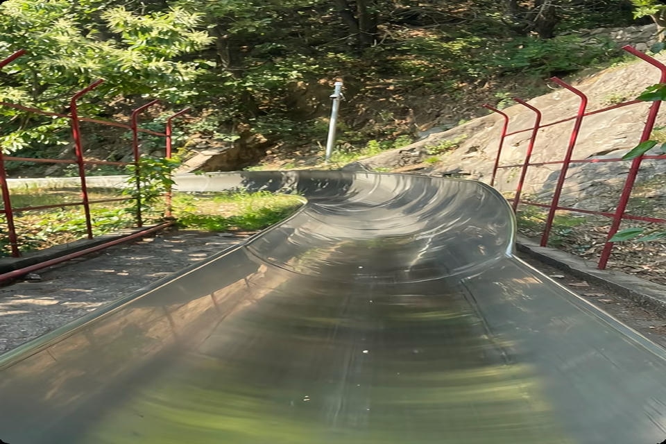 Private guide at Toboggan ride down