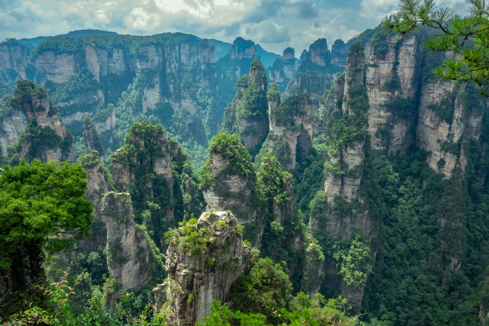 Private guide at Zhangjiajie sandstone pillar landscape