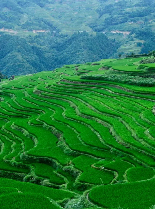 Private guide at guizhou