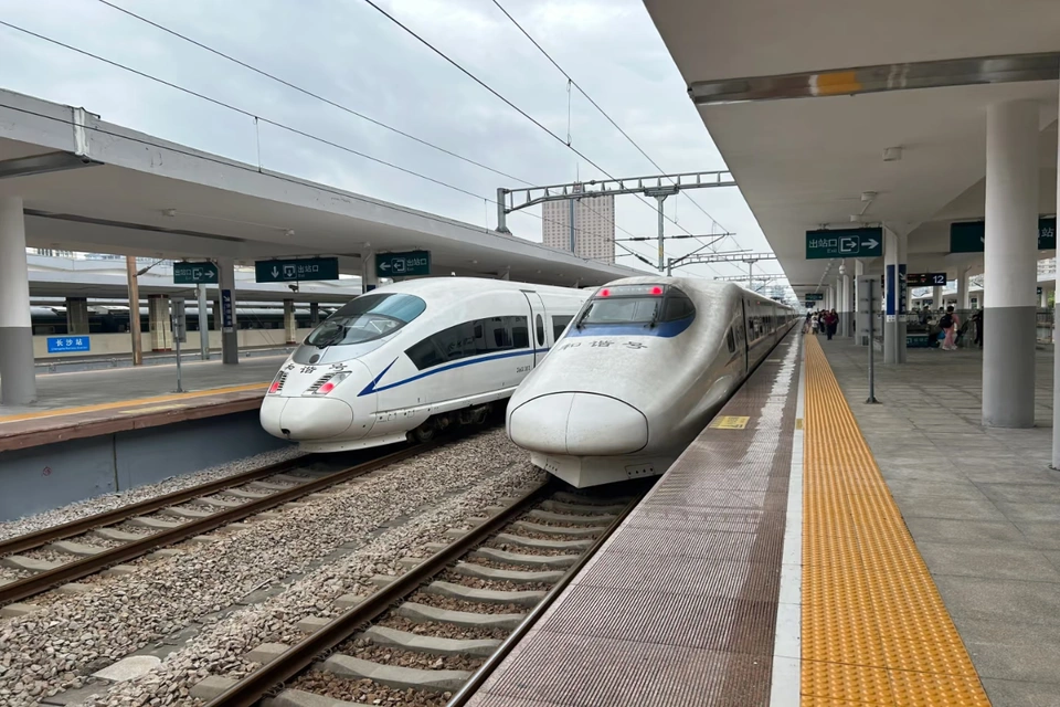 Private guide at high speed train station