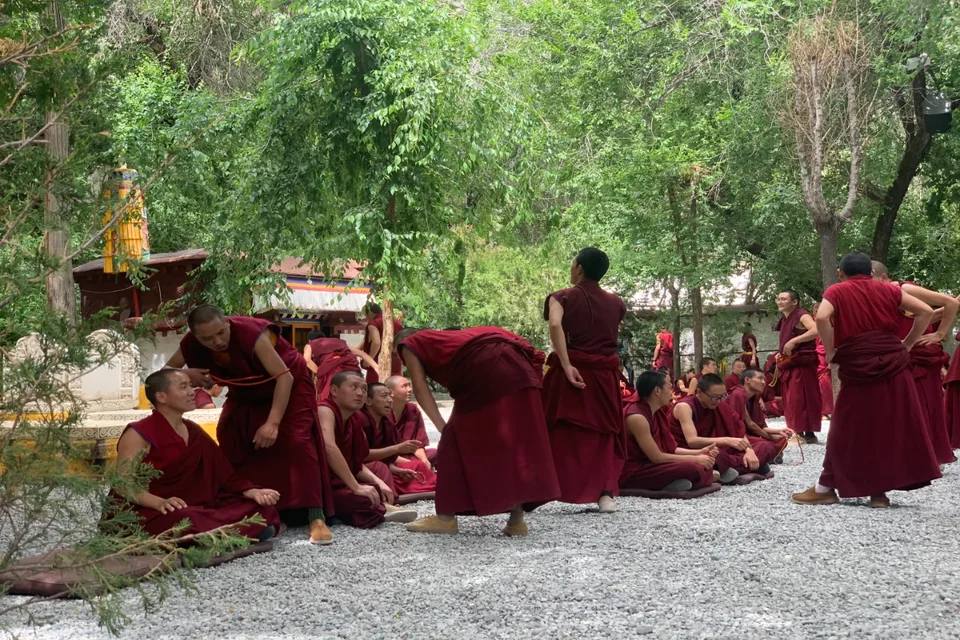 Private guide at monastic debates