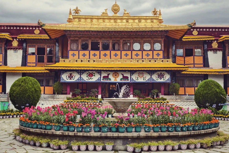 Private guide at norbulingka