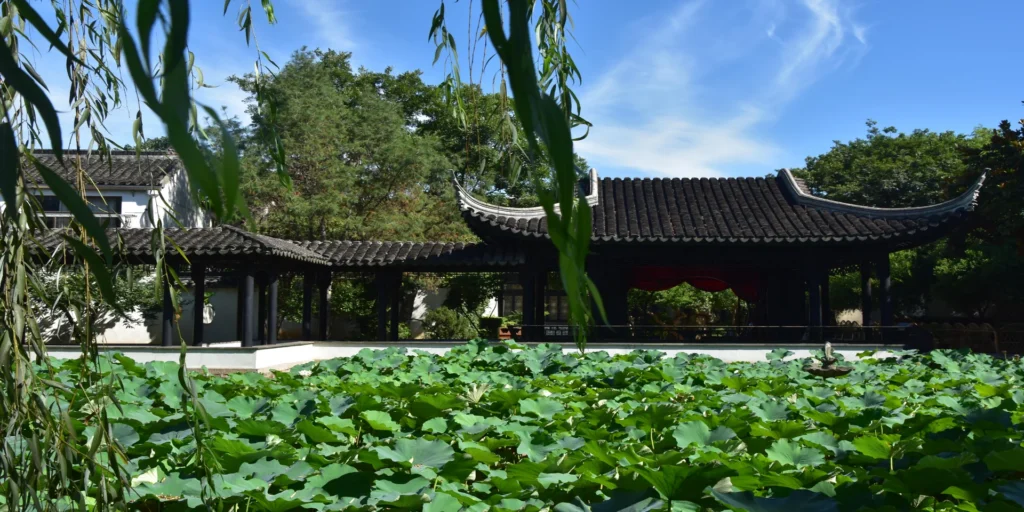 Private guide at suzhou ancient town