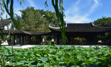 Private guide at suzhou ancient town