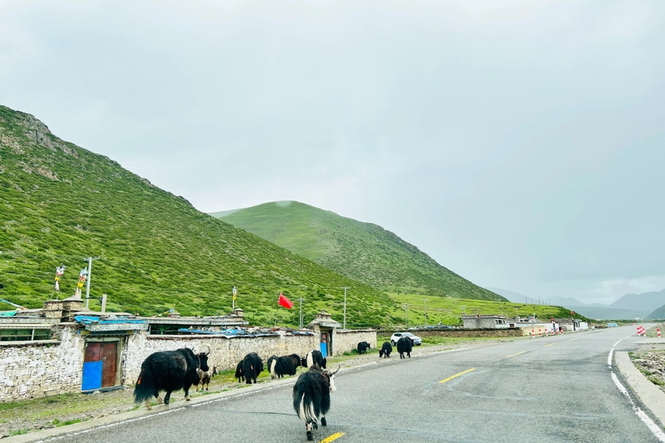 Private guide at tsedang