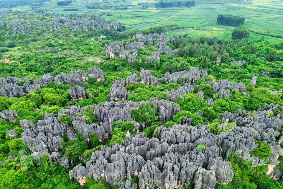 Private tour view of Naigu Stone Forest in Yunnan with dramatic stone formations and peaceful natural scenery