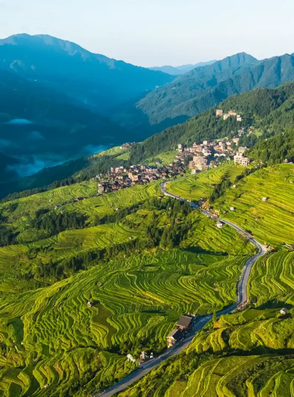 Private tour hero image of rice terraces in Guizhou with mountain landscape and rural scenery