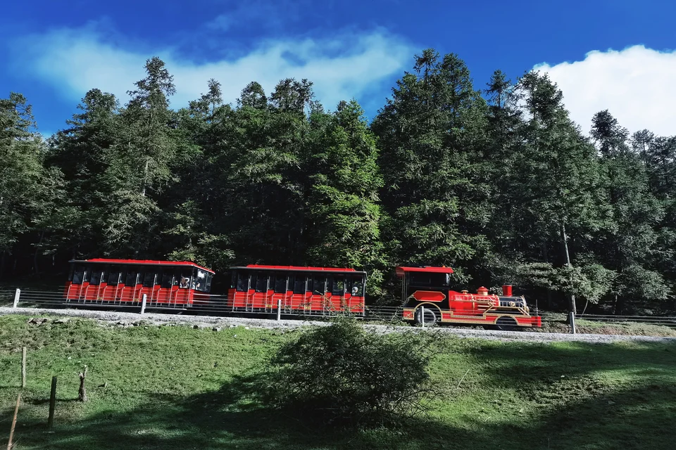 Private tour landscape of Fairy Mountain in Chongqing with open grasslands, forest scenery, and fresh alpine views
