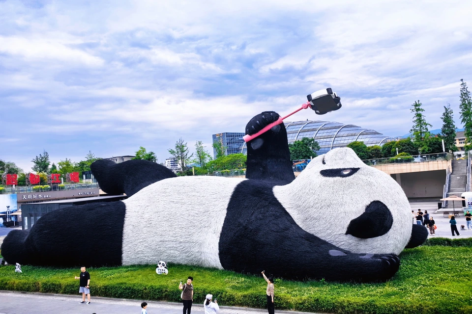 Hands-on panda keeper experience at Dujiangyan Giant Panda Base in Sichuan.