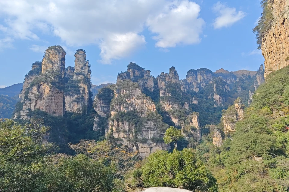 Avatar-inspired sandstone peaks and mountain scenery in Zhangjiajie National Forest Park.