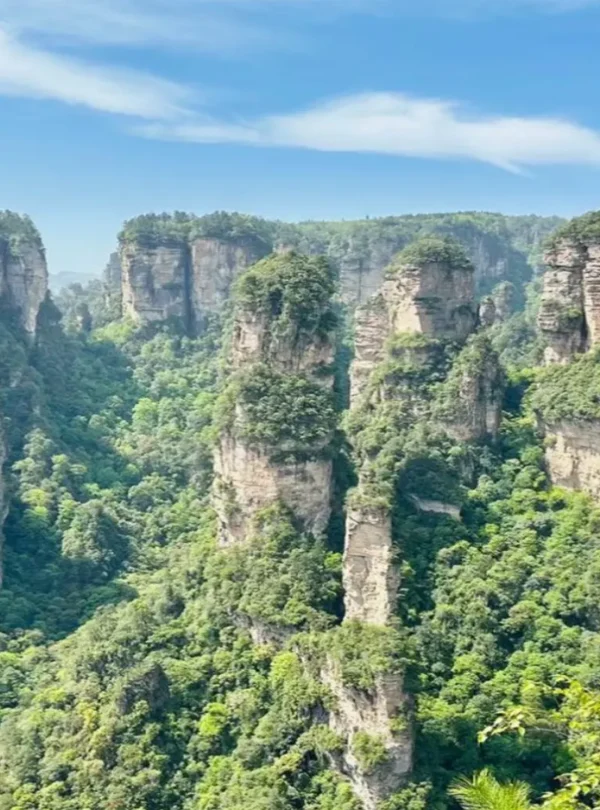 Avatar-like sandstone pillars in Zhangjiajie rising through misty mountain scenery.