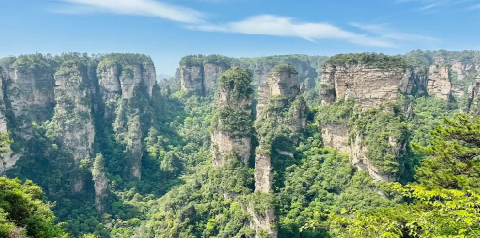 Avatar-like sandstone pillars in Zhangjiajie rising through misty mountain scenery.