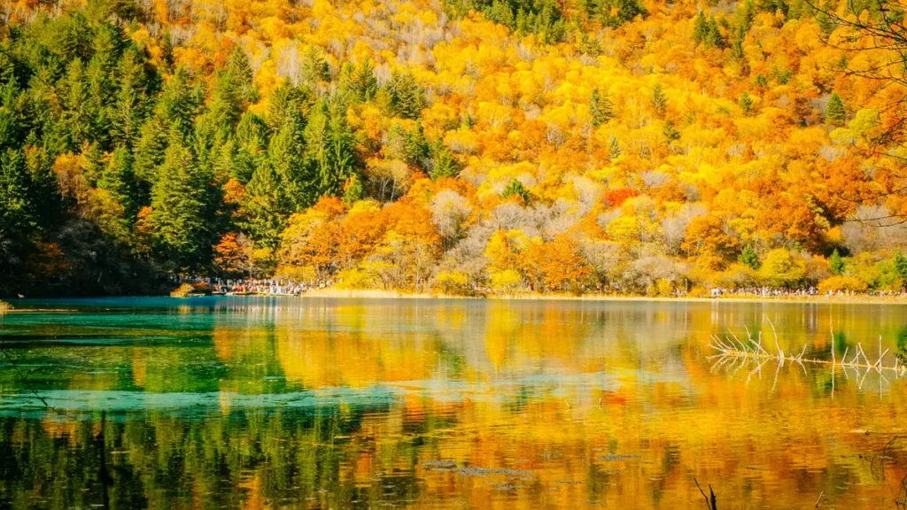 Autumn scenery in Jiuzhaigou, China